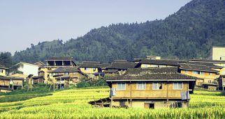 夯实乡村振兴基。叱鲂率贝⒄孤肪
